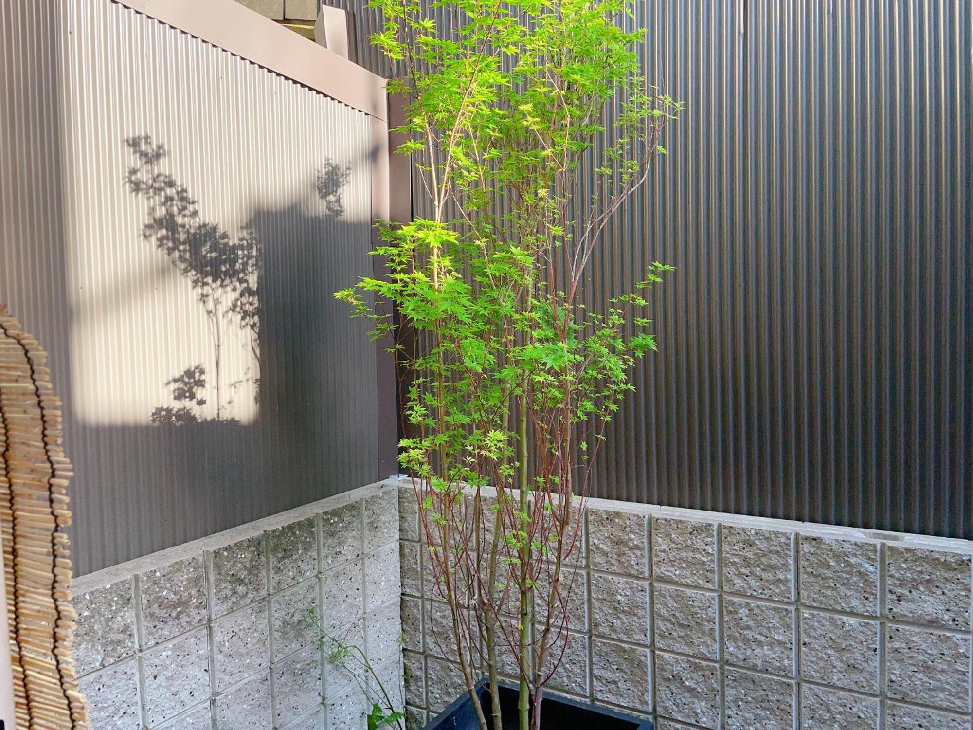 Suikakan Heianjingumae 酔花間 Kyōto Esterno foto