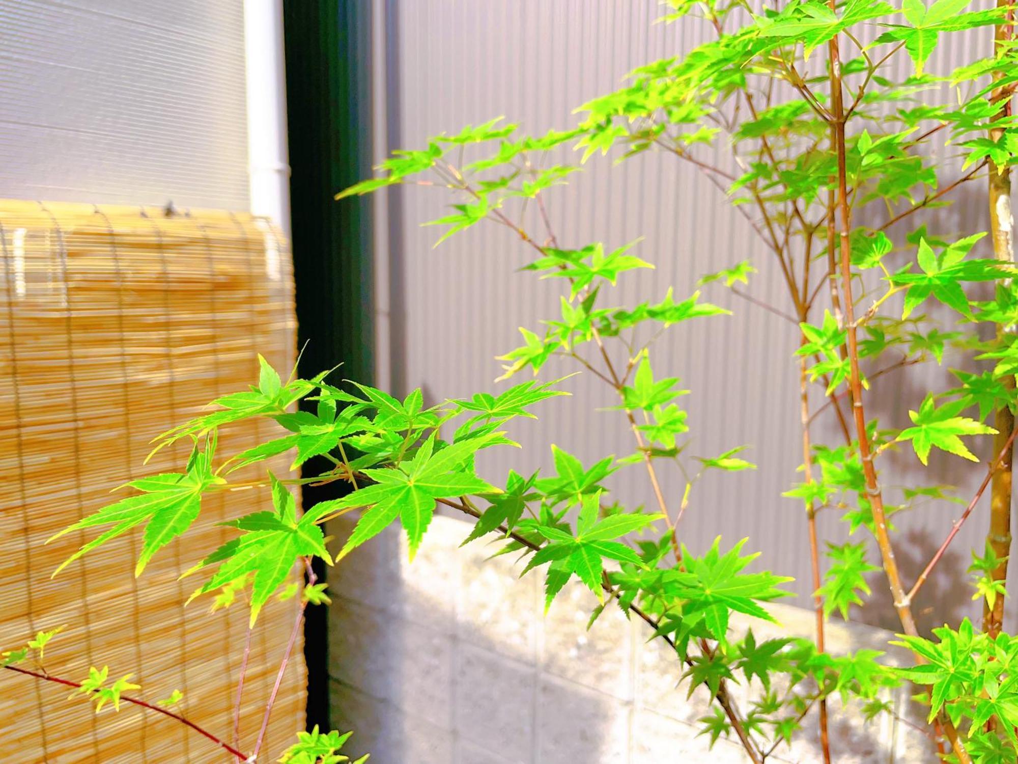 Suikakan Heianjingumae 酔花間 Kyōto Esterno foto
